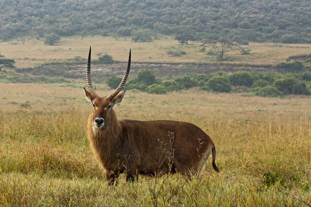 Встреча на рассвете