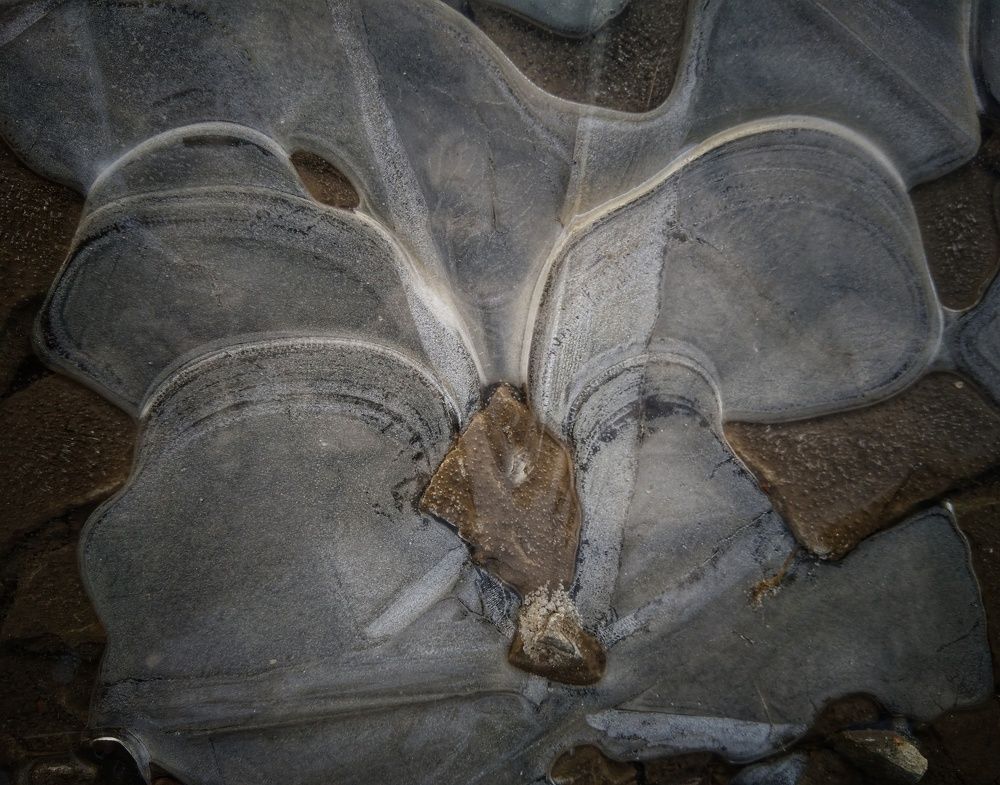 Лужи как отдельный вид искусства.