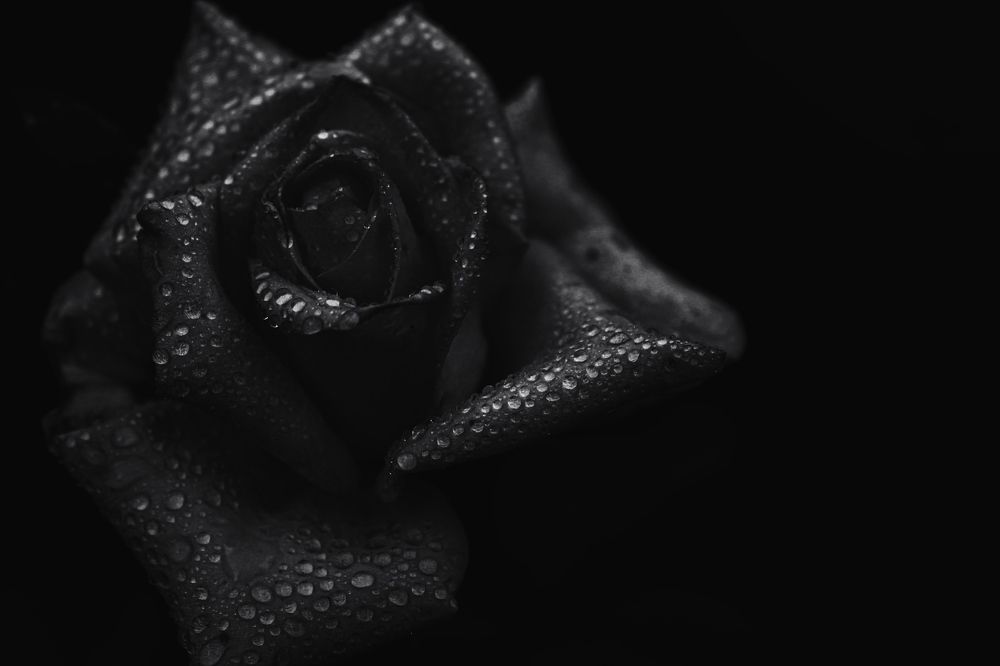 Photograph by Кристина Полякова