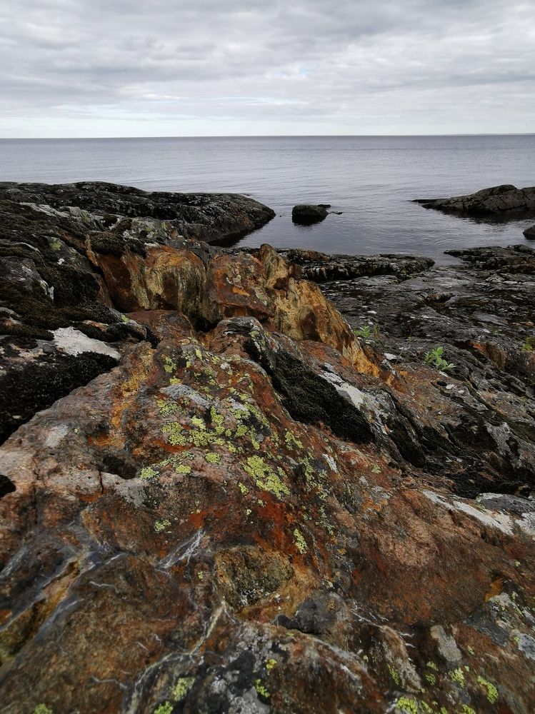 Photograph by Евгений Васильев