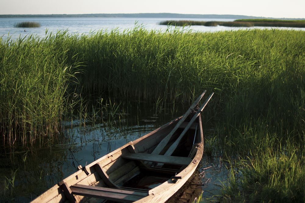 Photograph by Наталья Трусова