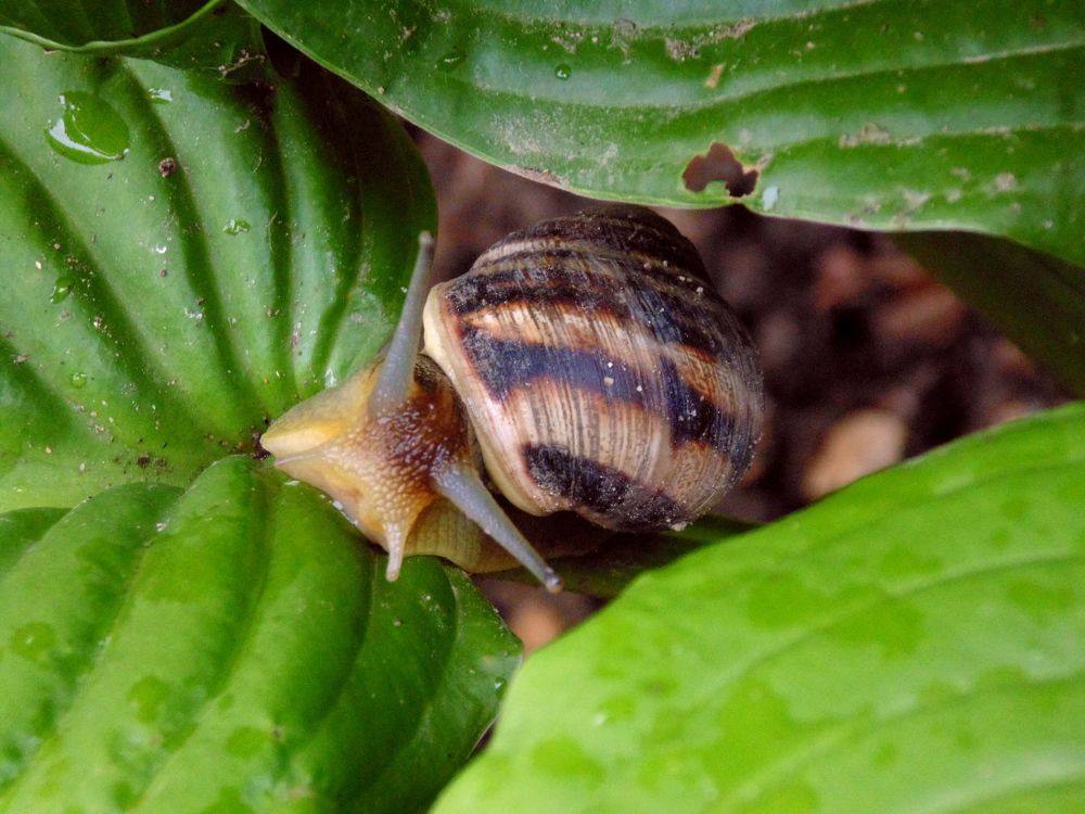 Photograph by Татьяна Стаскевич