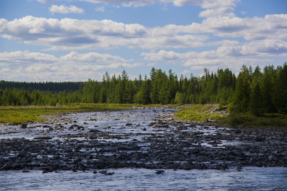 Photograph by Надежда Семёнова