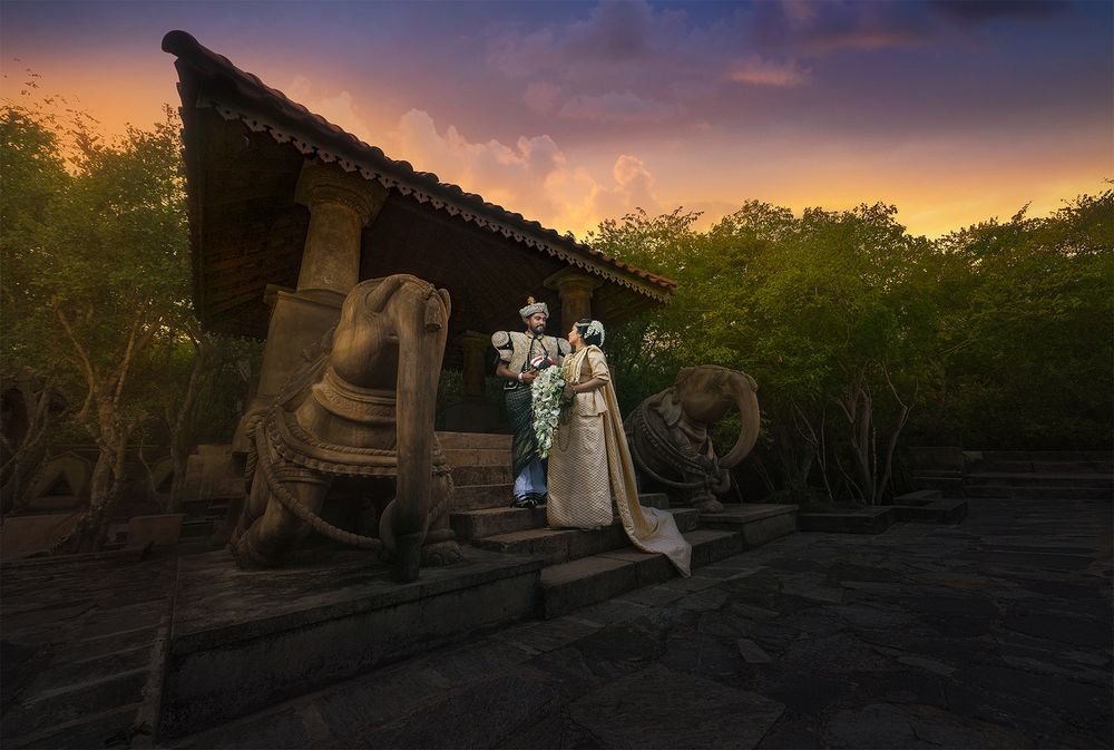 Photograph by Thusara Dilshan