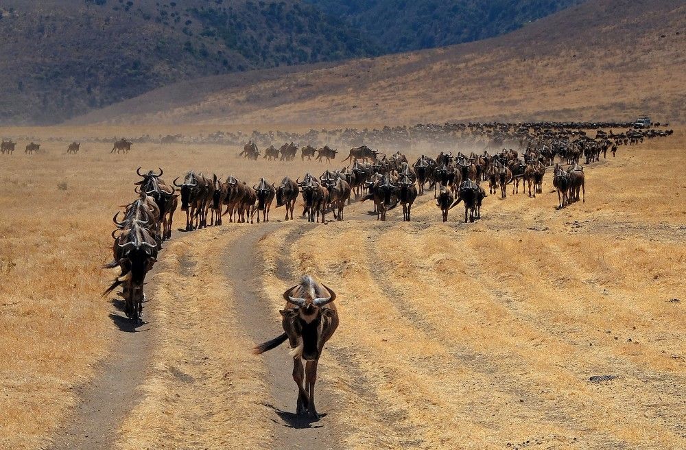 Photograph by Диана Жагрина