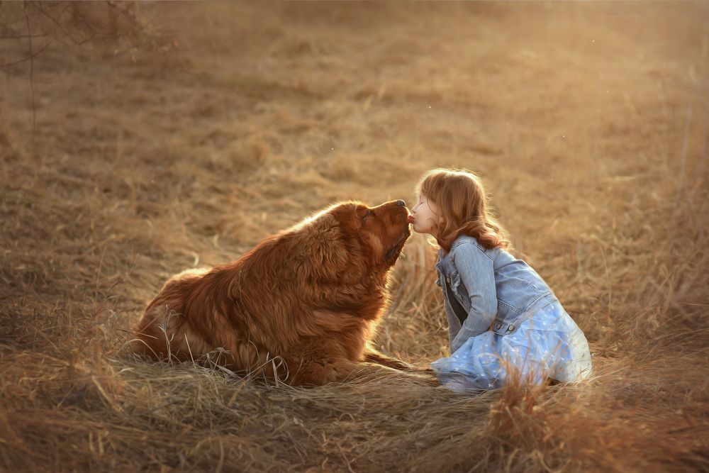 Photograph by Ольга Лахмистрова