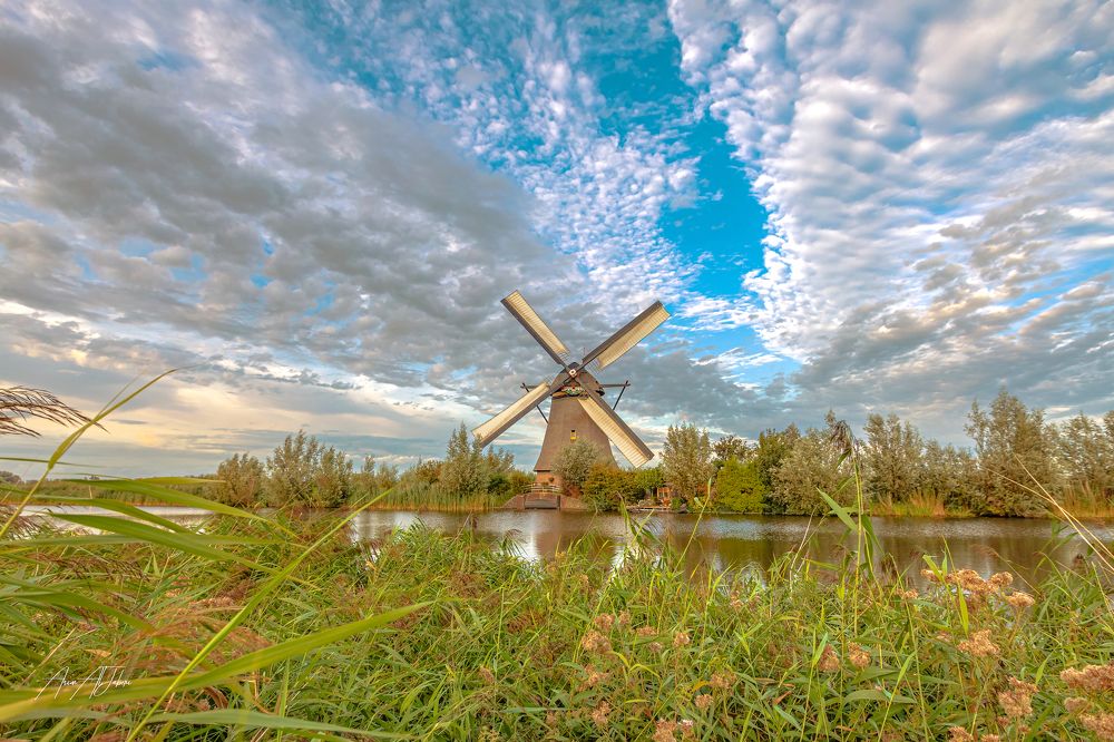 The eternal Dutch Windmill.