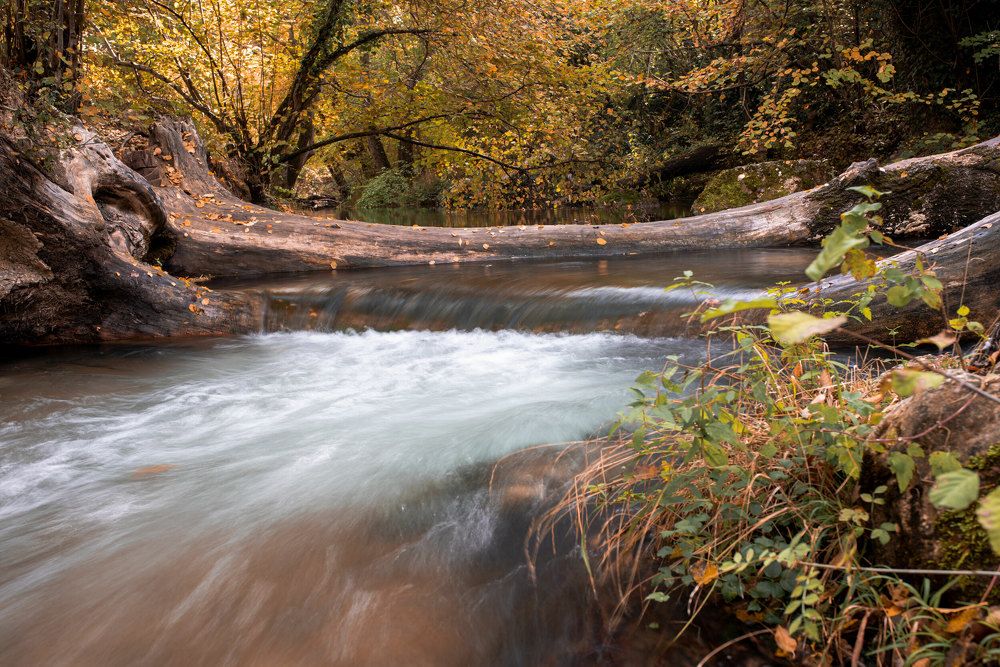 Photograph by Игорь Прошаков