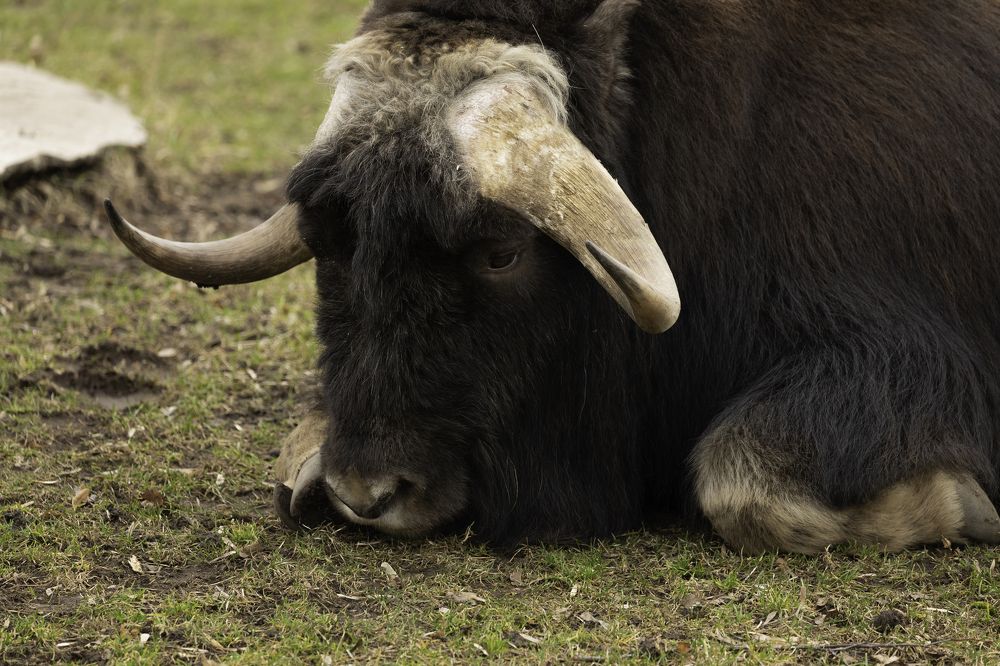 Photograph by Галина Павлова