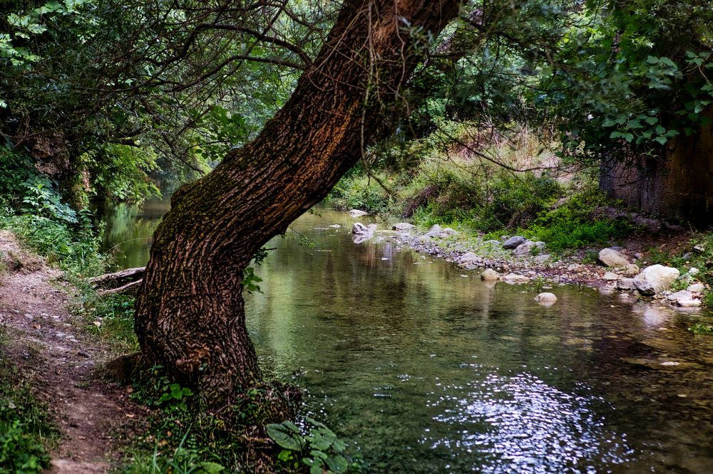 Photograph by Rocco Sellitto