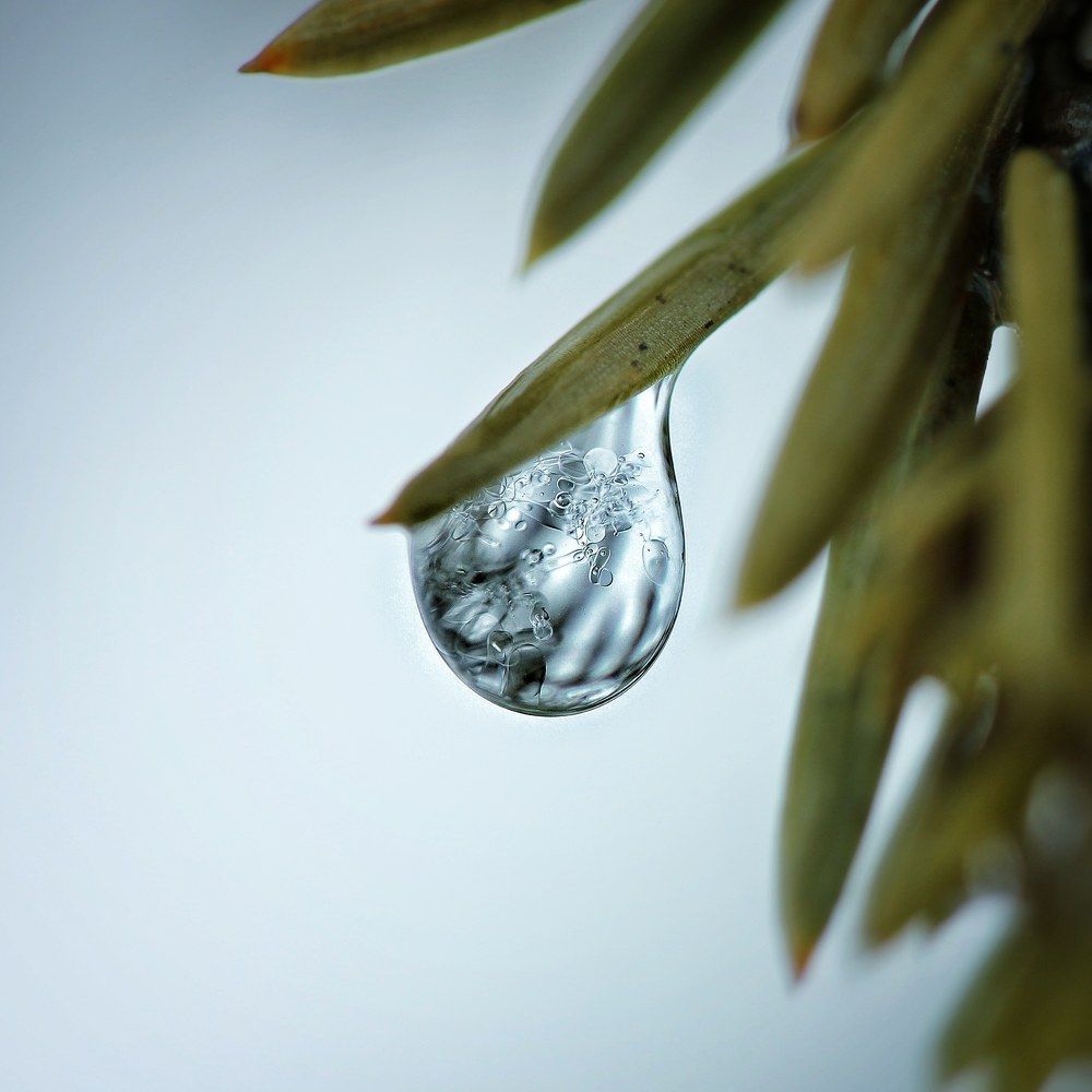 Photograph by Наталия Долганова