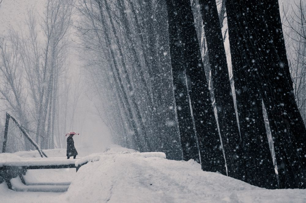 Photograph by Amir Bhat