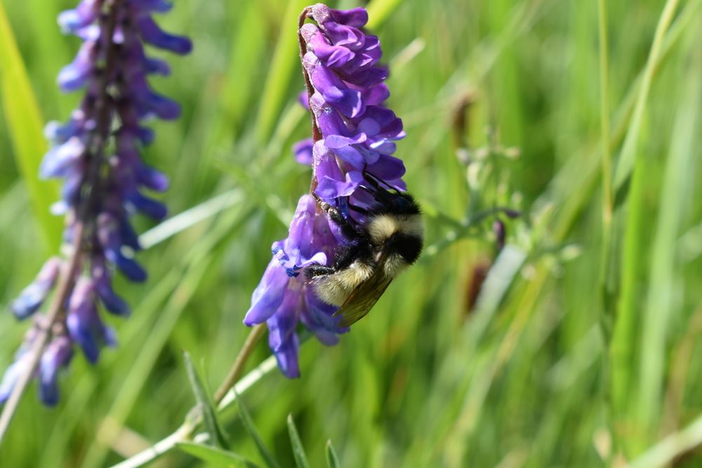 Photograph by Ульяна Орендовская