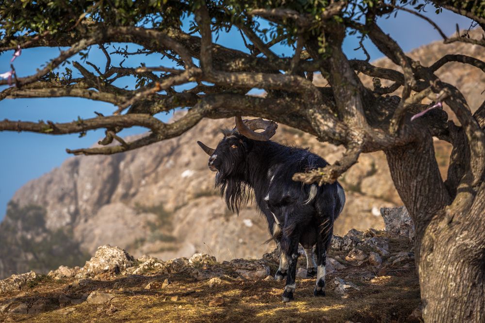 Photograph by Владимир Бессолицын
