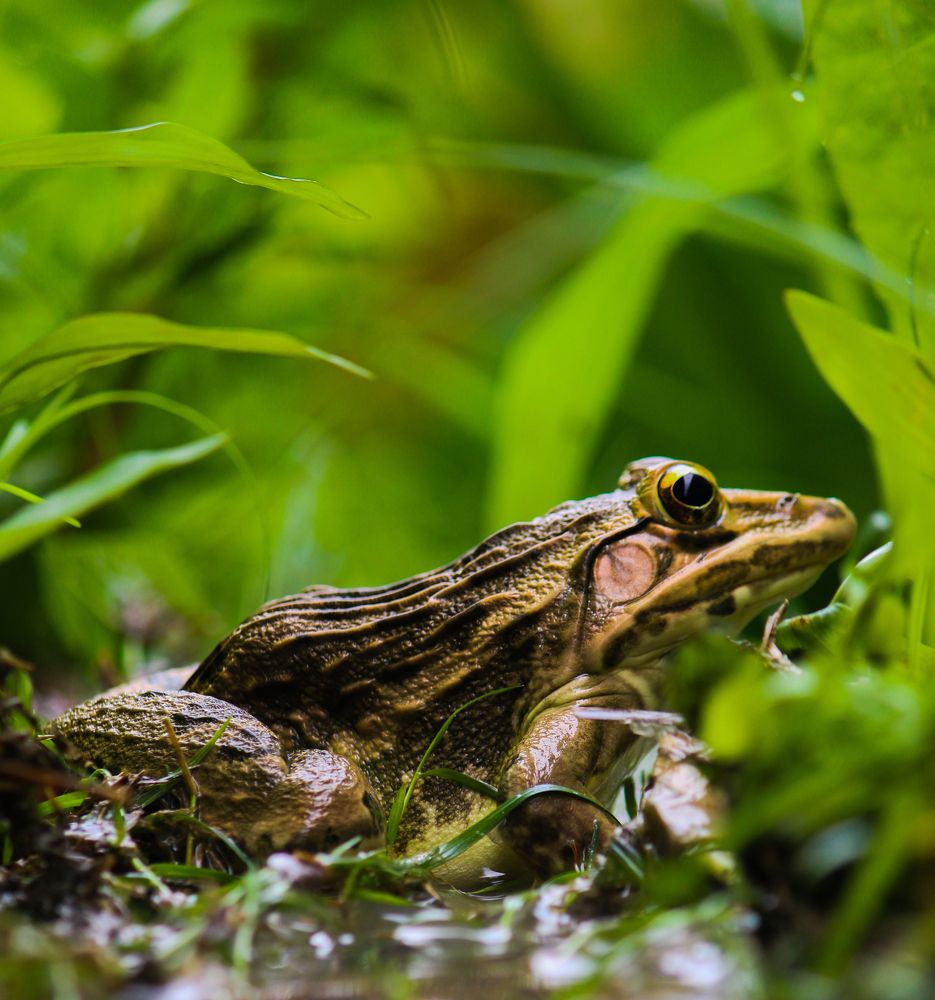 Photograph by Afzalkhan Khan