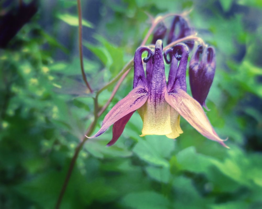 Photograph by Пётр Селетков