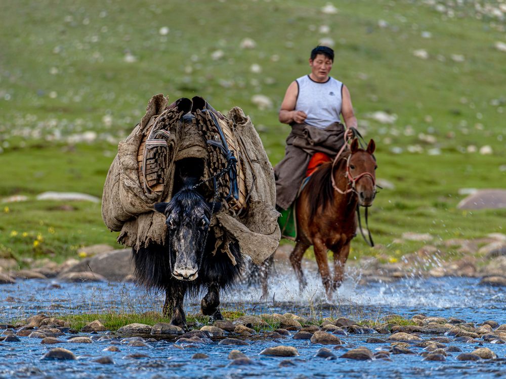 Photograph by Пүрэвсүрэн Отгонбаатар