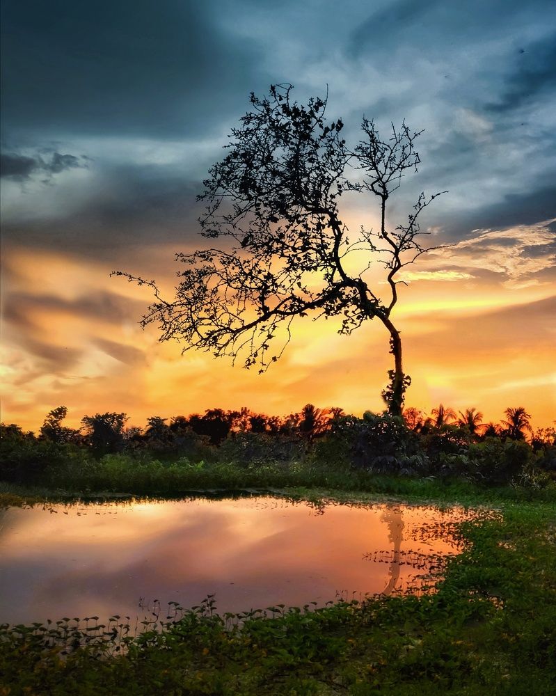 Photograph by Dipan Maity