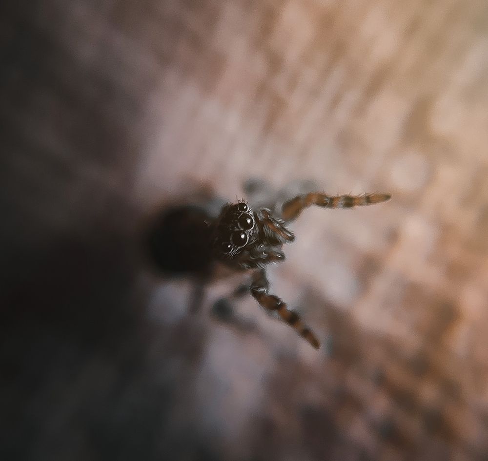 Photograph by Pavel Rout