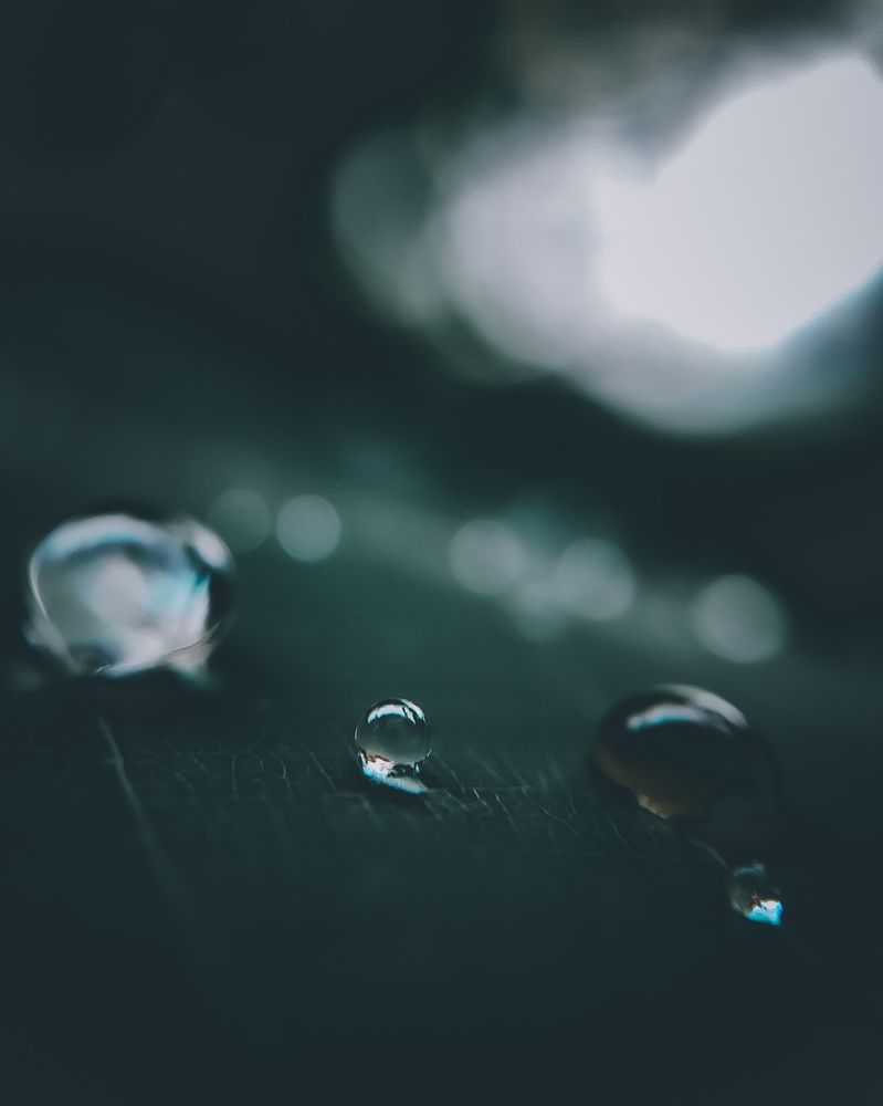 Photograph by Pavel Rout