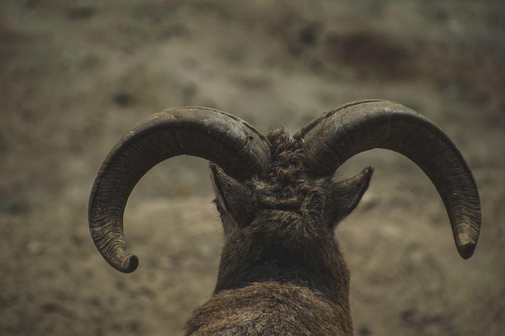 Photograph by Pavel Rout