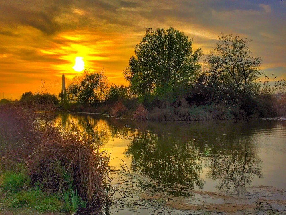 Photograph by Félix Sanchez