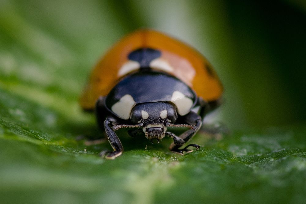 Photograph by Сергей Быченков