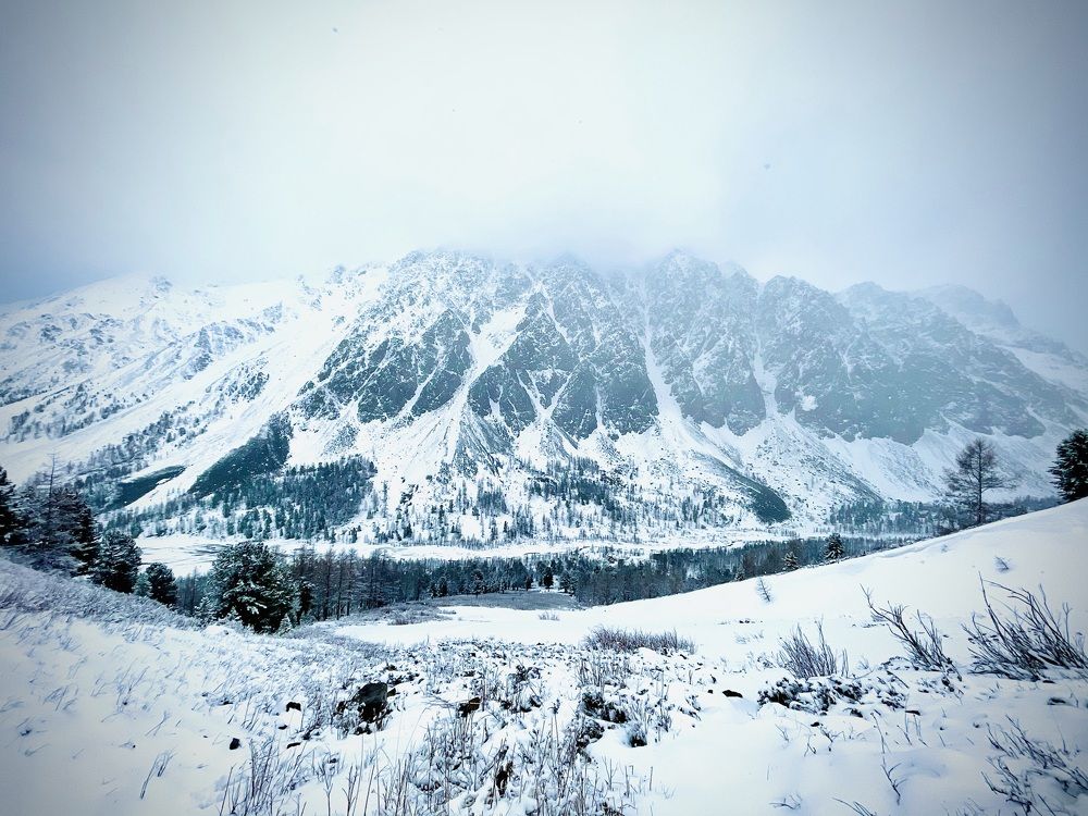 Photograph by Elena Pavlova