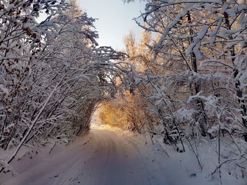 Photograph by Светлана