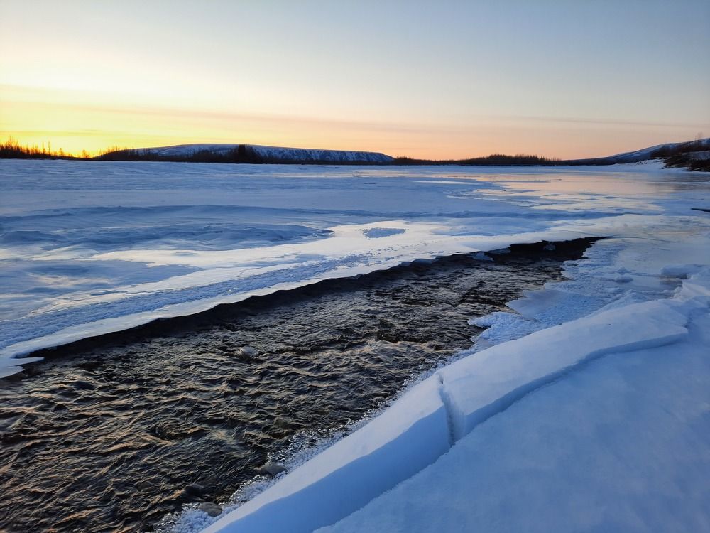 Photograph by Светлана