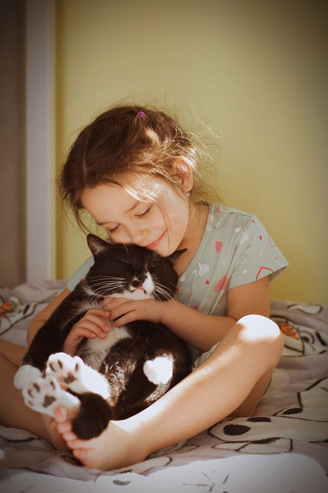 Друзья на веки