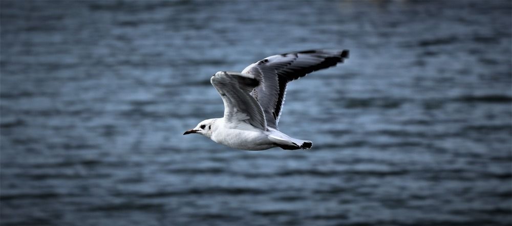 Photograph by ahmet erkan yavuzcan