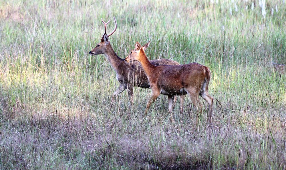 Фотография автора Vivek Tavate