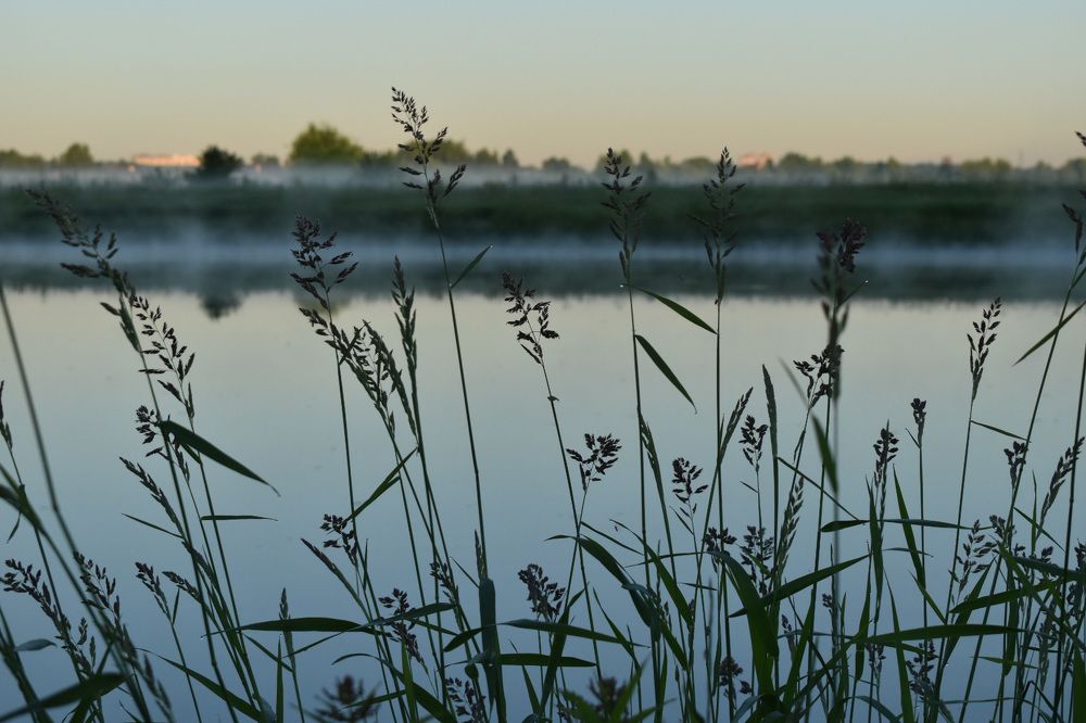 Photograph by Екатерина Бондаренко