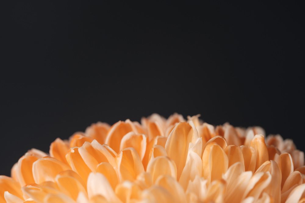 Photograph by Alwin Kok