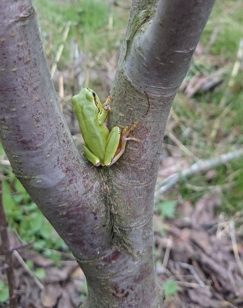 Photograph by Ali Bagheri