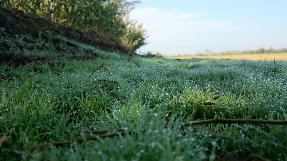 Photograph by Ali Bagheri