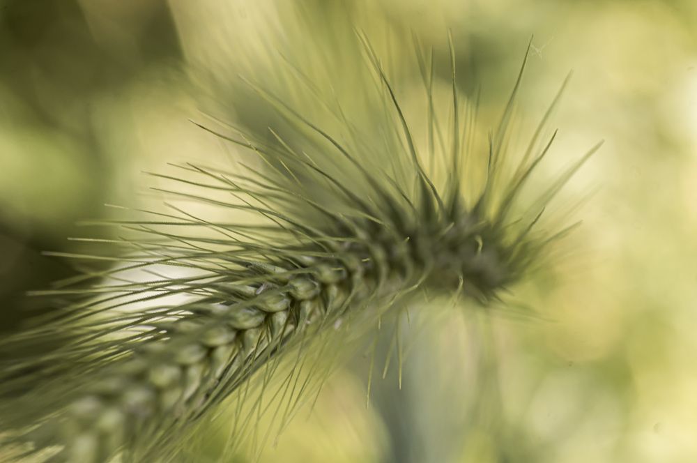 Photograph by Михаил Усачук