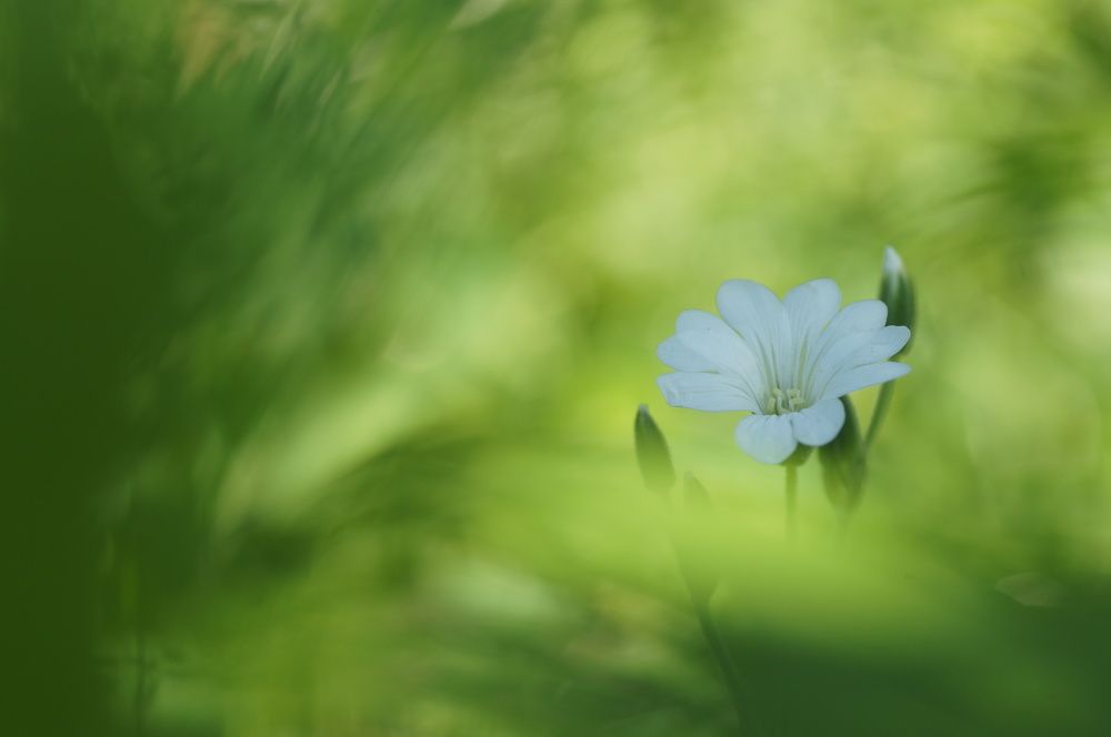 Photograph by Михаил Усачук