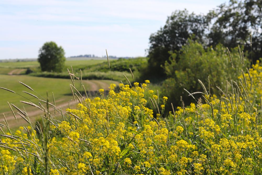 Photograph by Tatyana Semenova