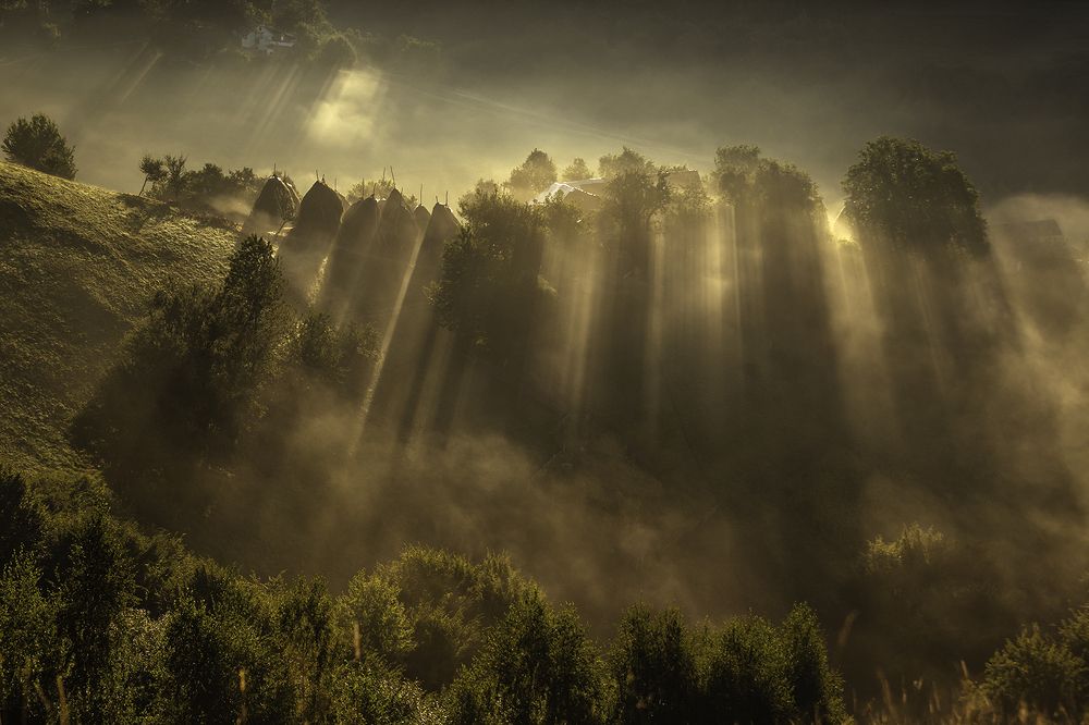 Photograph by Andreea Vestea