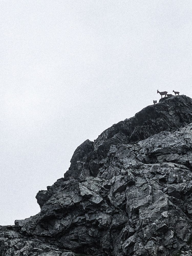 Photograph by Михаил Бураков