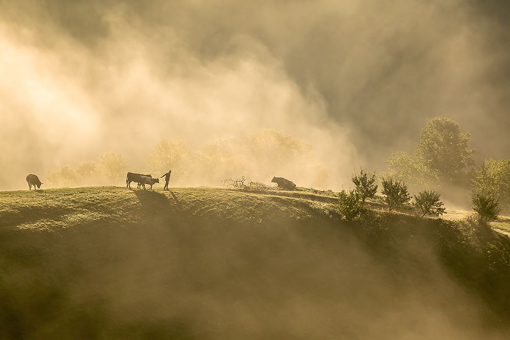 Traditions in Transylvania