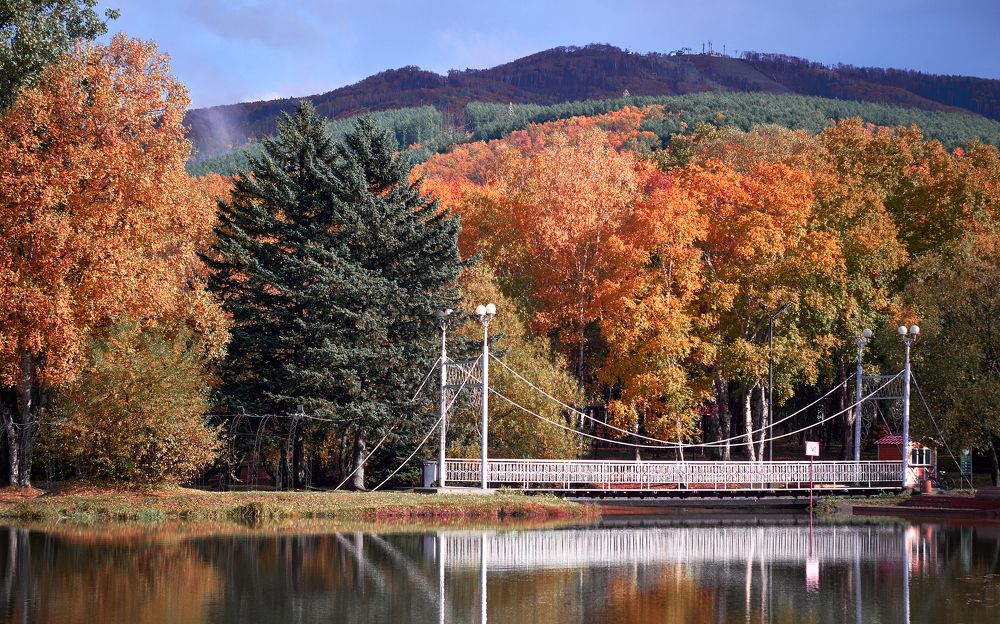 Photograph by Андрей Бельцов