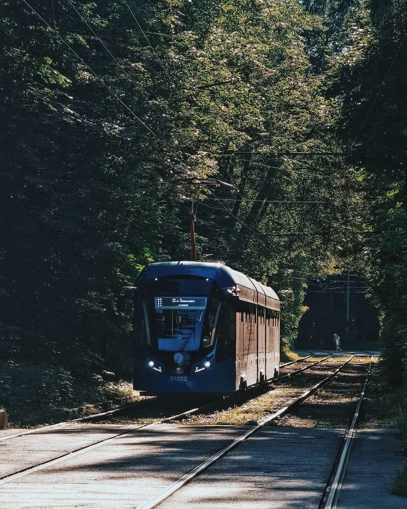 Photograph by Елена Хрипкова
