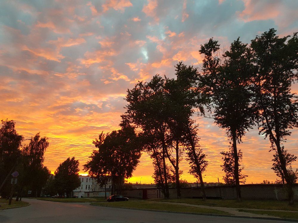 Photograph by Дмитрий Степанов