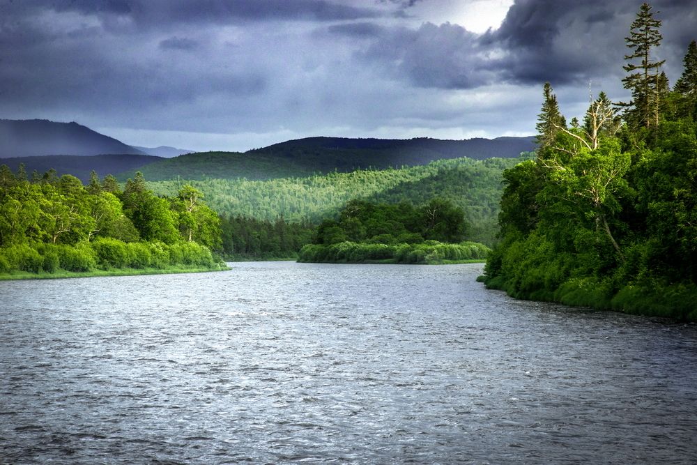 Photograph by Анастасия Клементьева