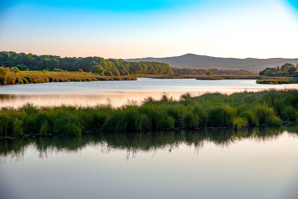 Photograph by Анастасия Клементьева