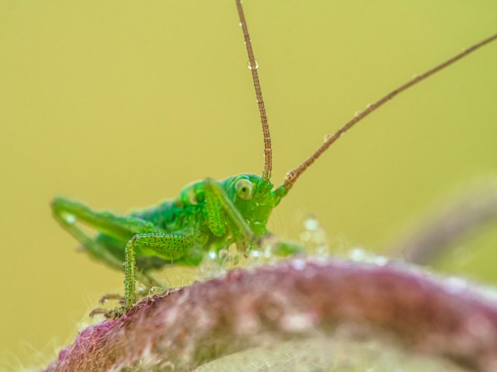 Photograph by Ольга Линк