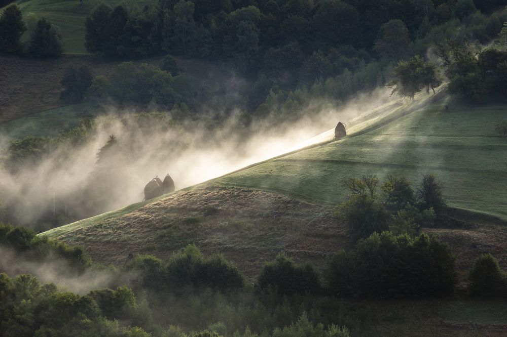 Photograph by Andreea Vestea